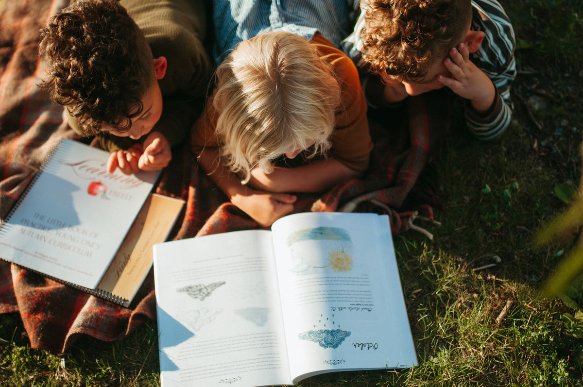 Young One's Autumn Curriculum - Perfect-Bound Softcover Book
