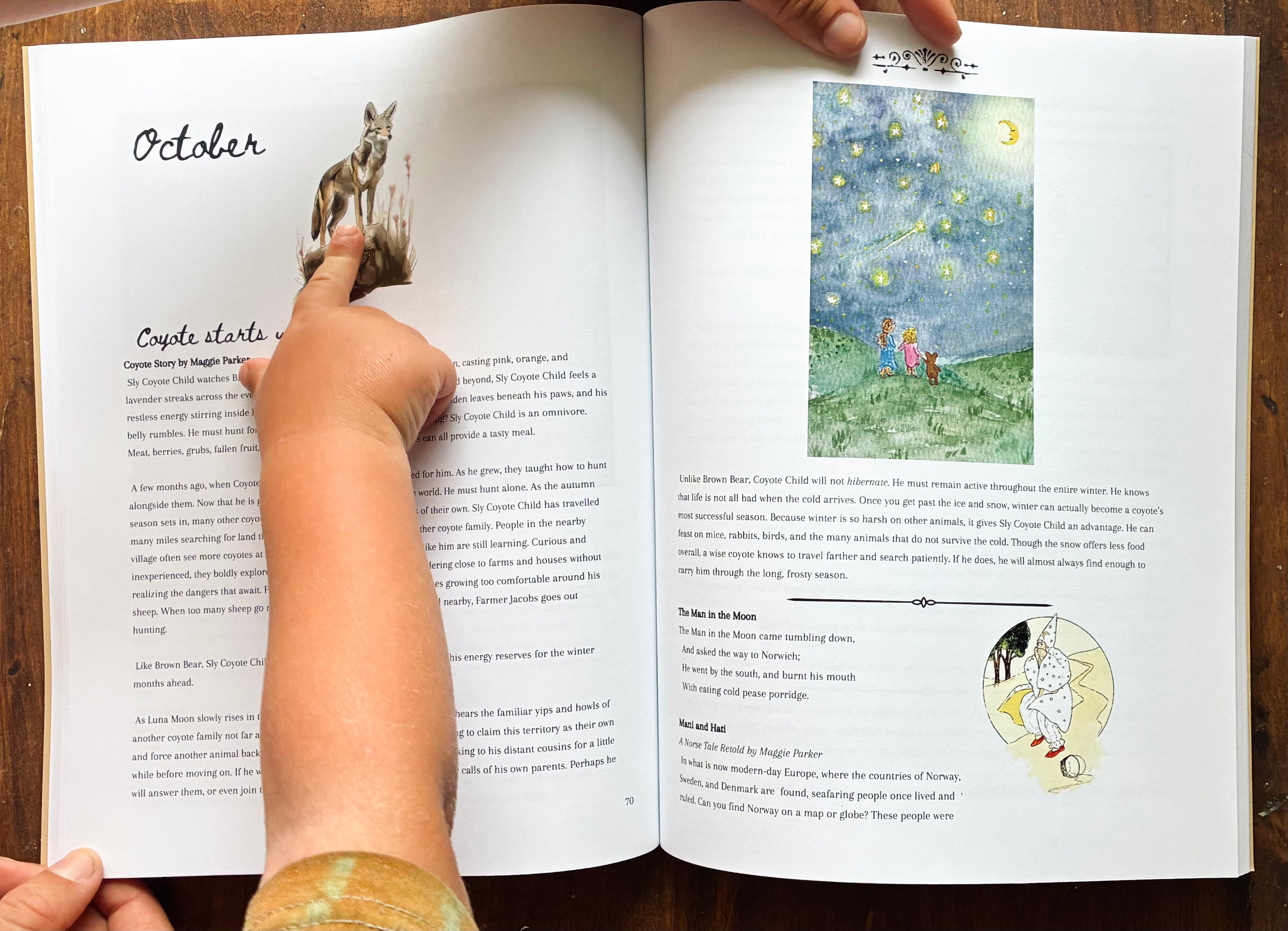 Young One's Autumn Curriculum - Perfect-Bound Softcover Book